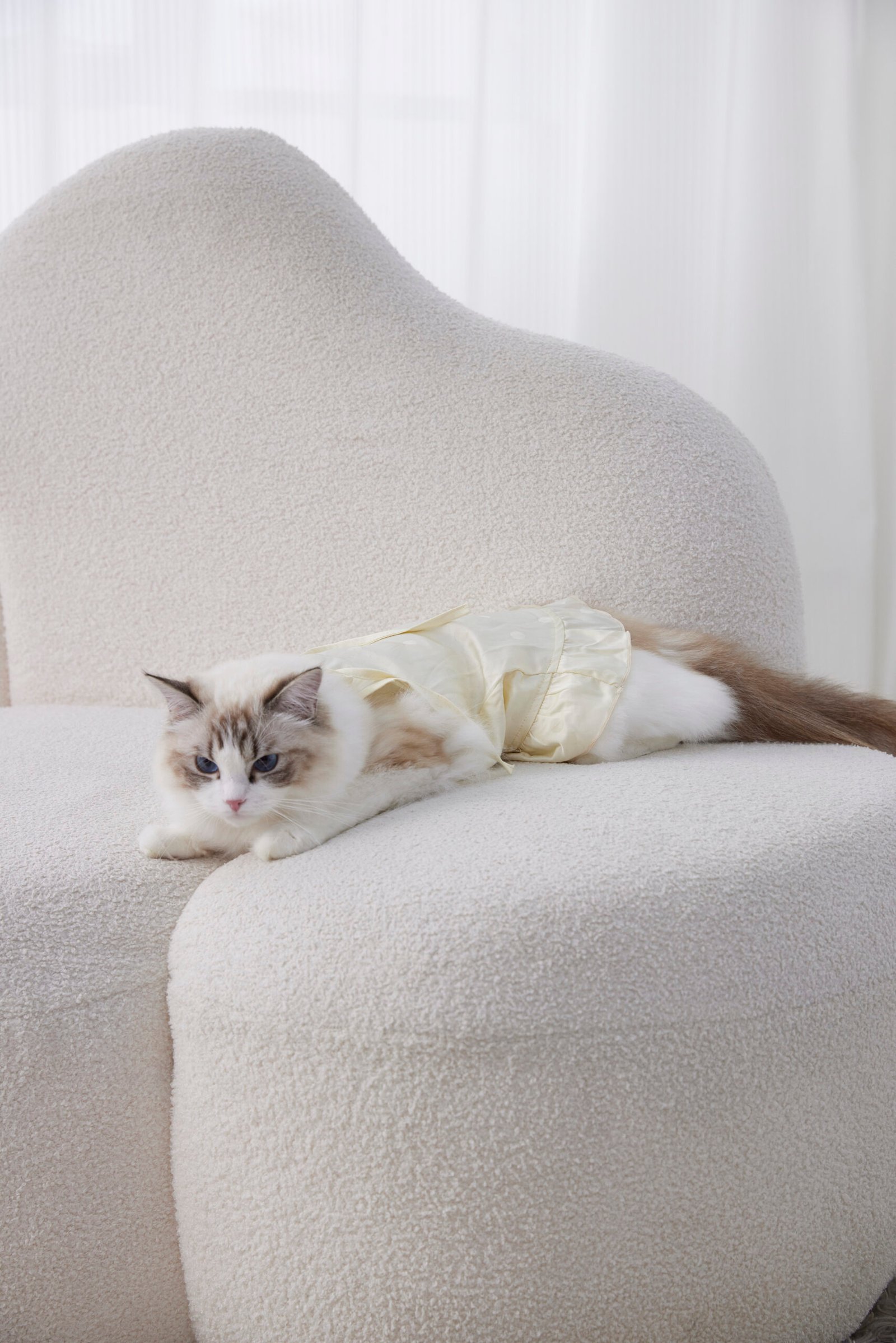 Hesperus coordinating pet loungewear