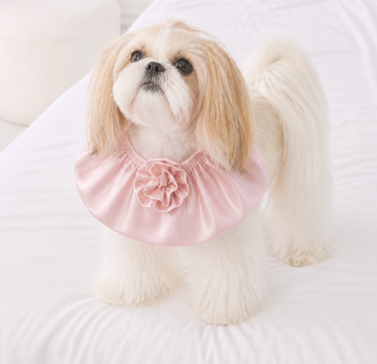 Rosé Moonlight Satin Halter Lounge Set