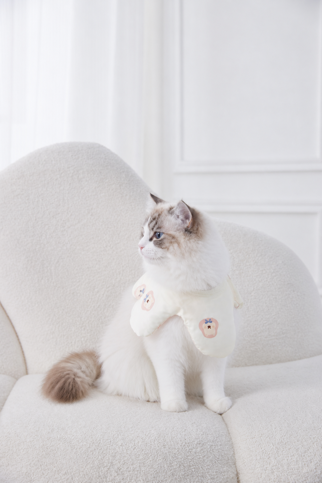 Honeybear pet apparel modeled by a long-haired cat