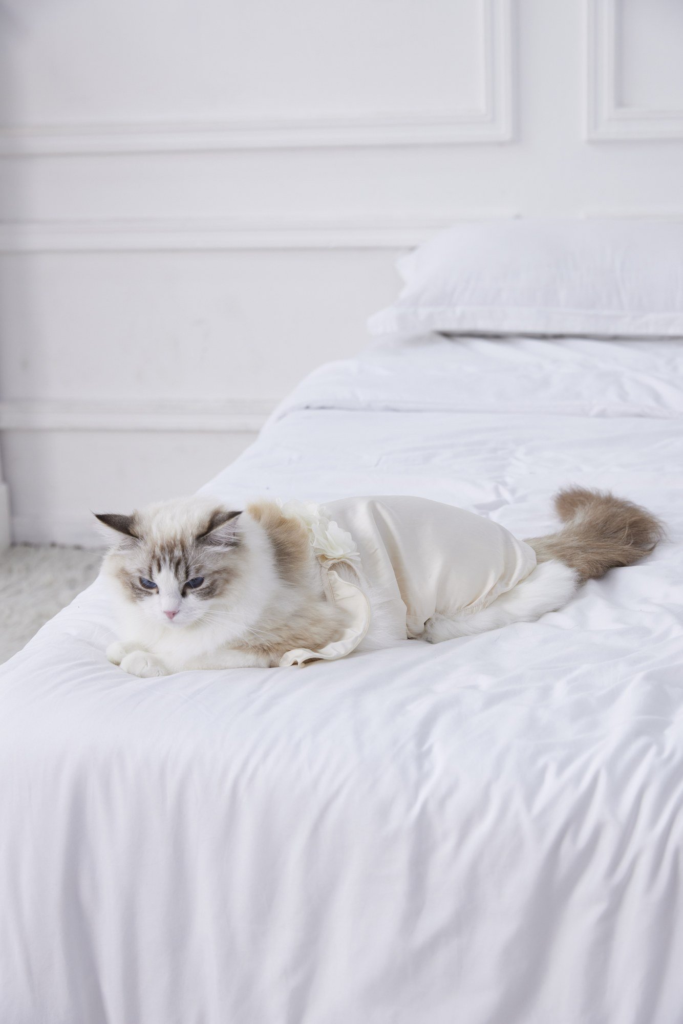 Opaline Satin Slip & Robe Matching Collection
