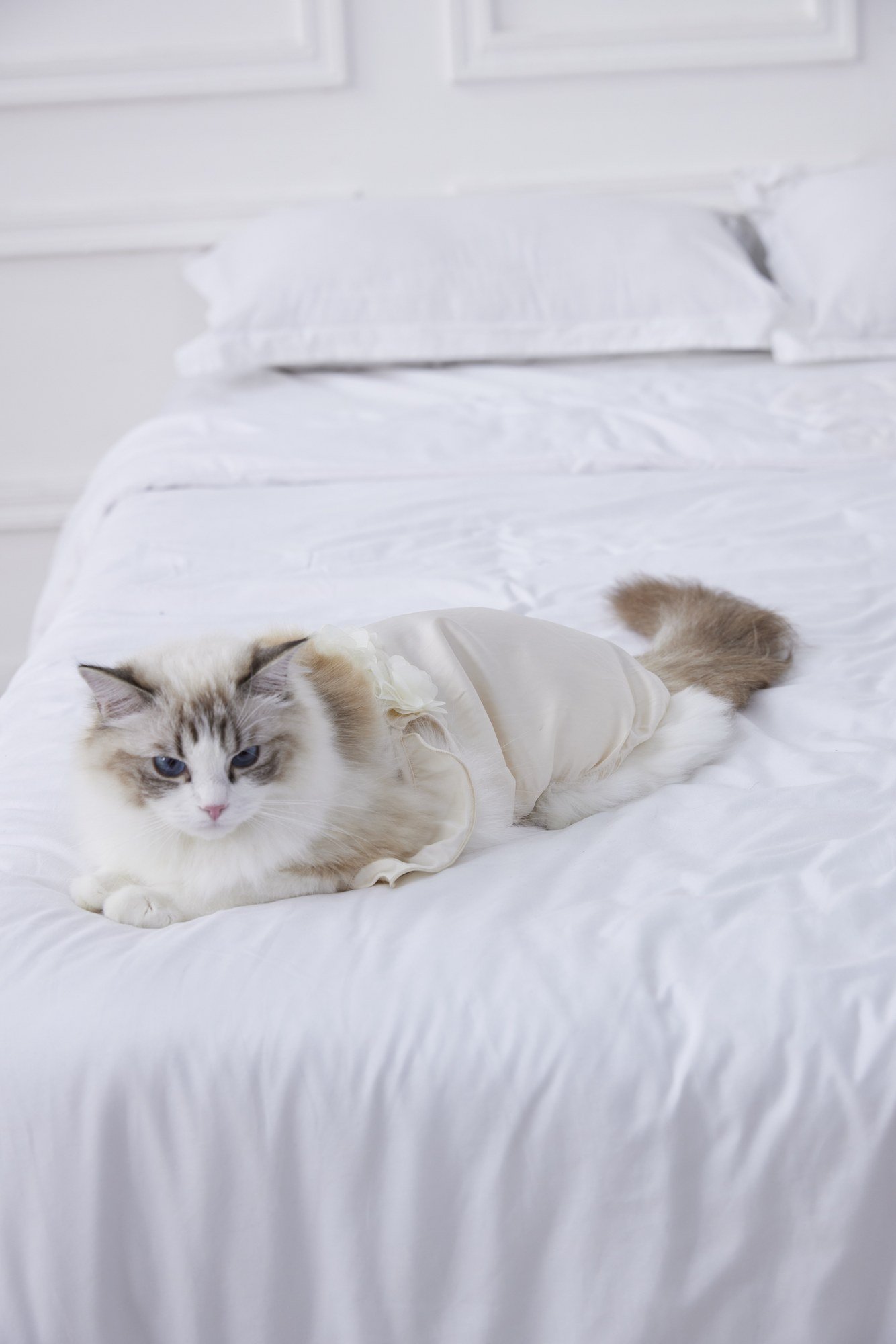 Opaline Satin Slip & Robe Matching Collection