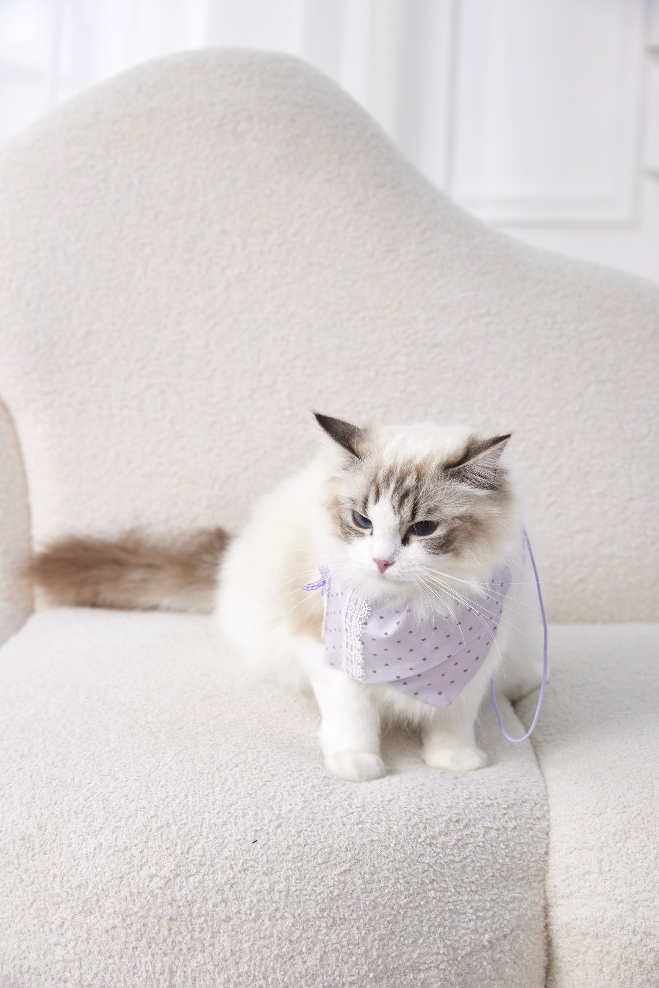Lavender Fable Ruffle Lounge Set