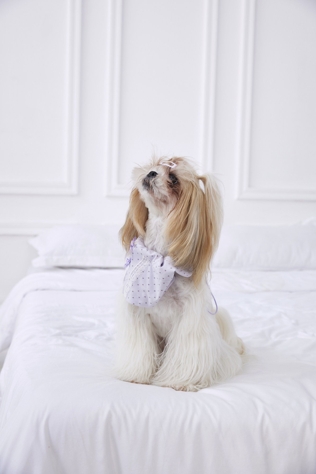 Lavender Fable Ruffle Lounge Set