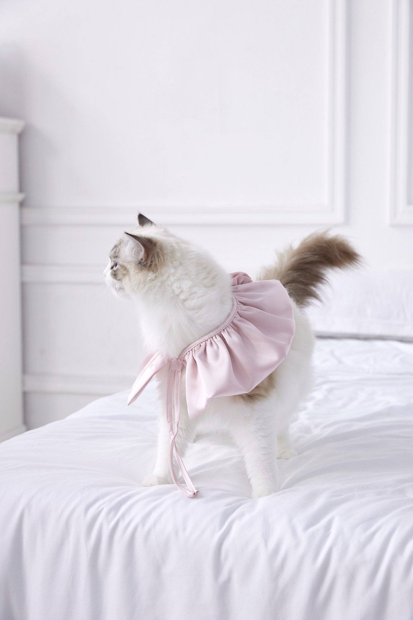Rosé Moonlight Satin Halter Lounge Set
